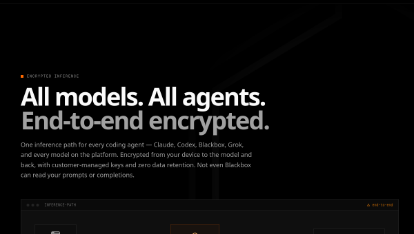 Blackbox AI logo and screenshot