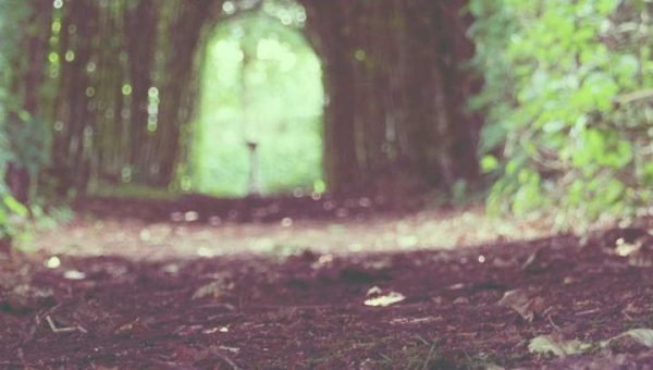 Featured image for Push Notification Template for Creators