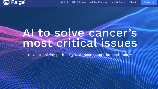 Paige AI logo and screenshot
