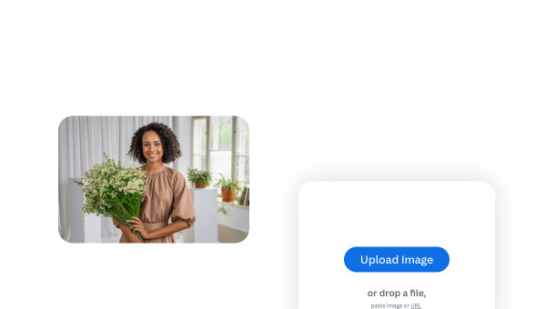 Remove.bg logo and screenshot