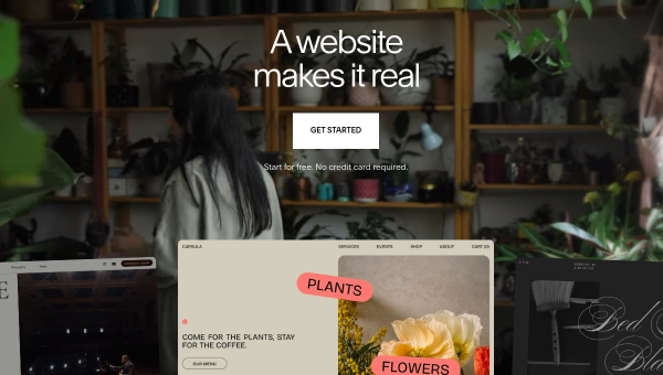 Squarespace AI logo and screenshot