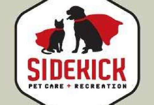 Featured image for AI Course for Pet Care