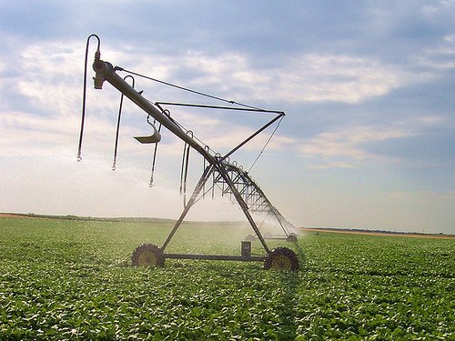 Agriculture Companies
